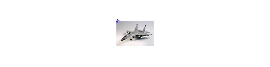 1/24 avion 1/24 avion