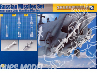 SKUNKMODEL kit amelioration avion 48029 Set de Missiles Russe 1/48