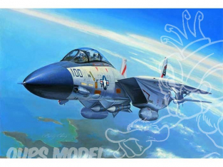 Hobby Boss maquette avion 80276 F-14A Tomcat 1/72