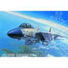 Hobby Boss maquette avion 80276 F-14A Tomcat 1/72