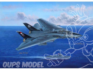 Hobby boss maquette avion 80367 F-14B TOMCAT 1/48