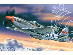 Icm maquette avion 48121 Mustang P-51C WWII 1/48