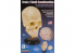 Lindberg maquettes educative 71301 Ensemble cerveau et crane 1/1