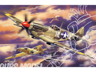 Icm maquette avion 48065 Spitfire Mk.VIII WWII 1/48