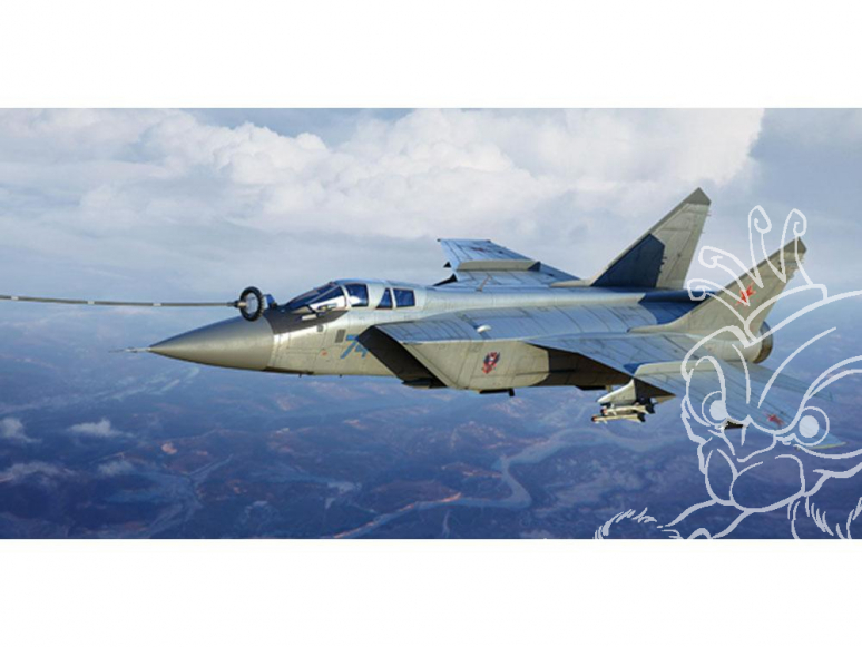 TRUMPETER maquette avion 01680 MIG-31B/BM "FOXHOUND" RUSSIE 2010 1/72