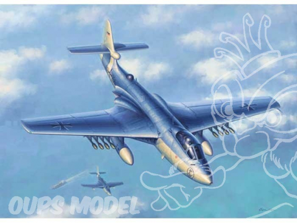 Hobby Boss maquette avion 87252 Sea hawk MK.100/101 1/72