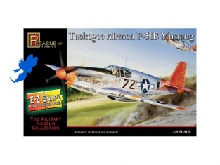 PEGASUS maquette avion 8404 E-Z BuiltKit P-51B MUSTANG 1/48