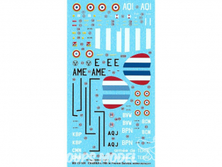 DECALQUES BERNA DECALS BD72-109 Cessna L-19E Dans le service Français 1/72