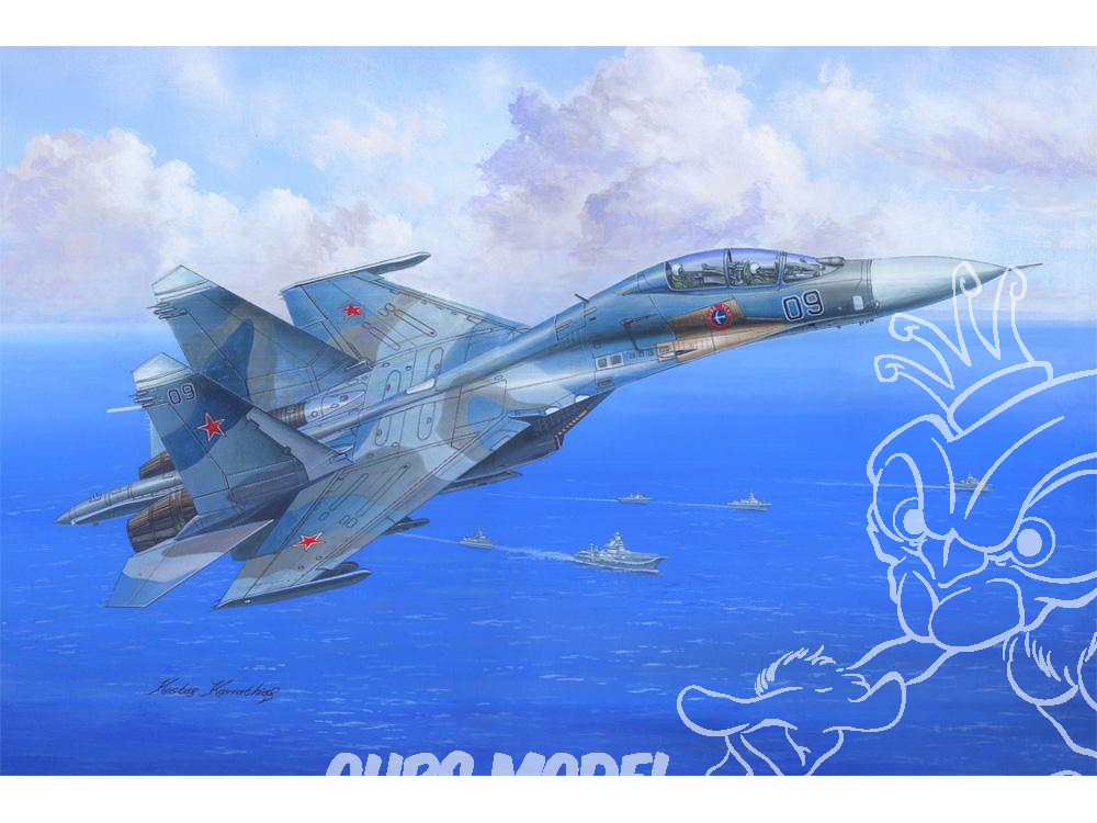 Maquette Avion SU-27UB échelle 1:200 – Vietnamese People's Air Force, Peinture Détaillée