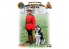 Icm maquette voiture 16008 Gendarmerie royale du Canada Officier féminin avec chien 1/24