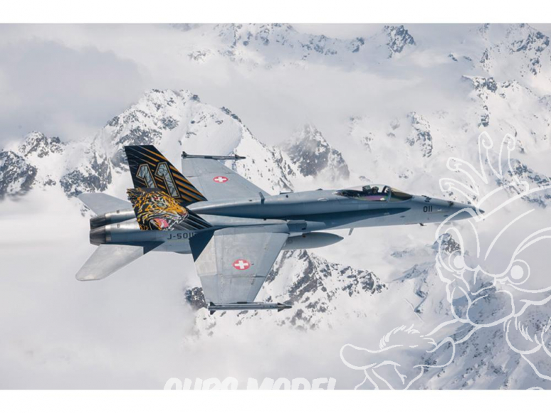 Italeri maquette avion 1394 F/A-18 HORNET TIGER MEET 2016 1/72