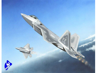 TRUMPETER maquette avion 01317 F-22 A RAPTOR 1/144