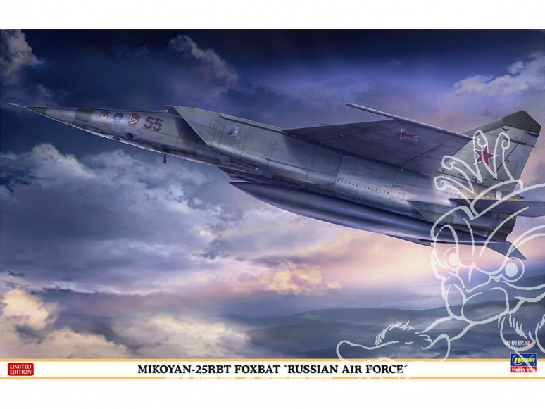 Hasegawa maquette avion 07462 Mikoyan-25RBT Foxbat "Russian Air Force" Limited Edition 1/48