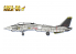HASEGAWA maquette avion 64755 Area-88 F-14A Tomcat Micky Scymon Limited Edition 1/72