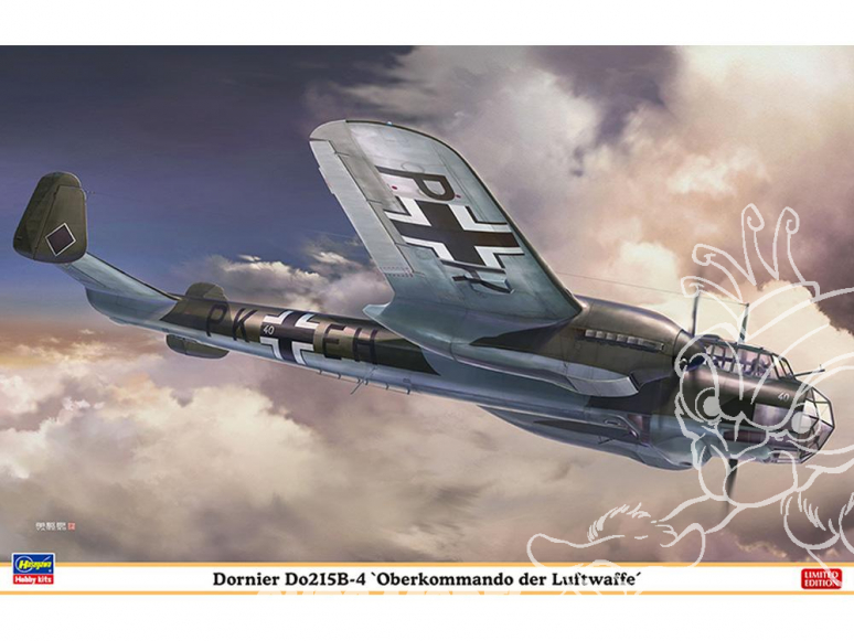 Hasegawa maquette avion 07443 Dornier Do215B-4 "Oberkommando der Luftwaffe" Limited Edition 1/48