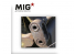 MIG Productions by Ak P280 Lavis chenilles Enamel 75ml