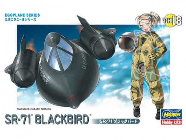 HASEGAWA maquette avion 60128 EGG SR-71 BLACKBIRD