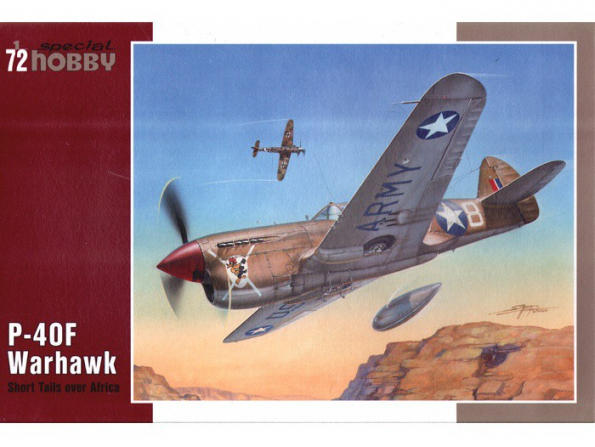 Special Hobby maquette avion 72155 P-40f Warhawk 1/72
