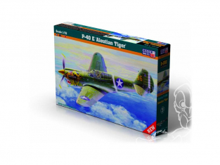 Master CRAFT maquette avion 042022 P-40E Aleutian Tiger 1/72