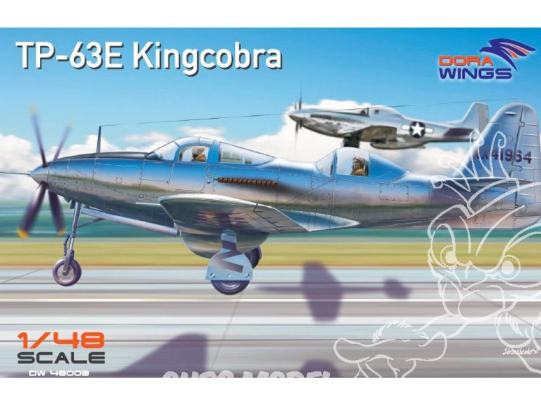 Dora Wings maquette avion DW48003 Bell TP-63E Kingcobra 1/48