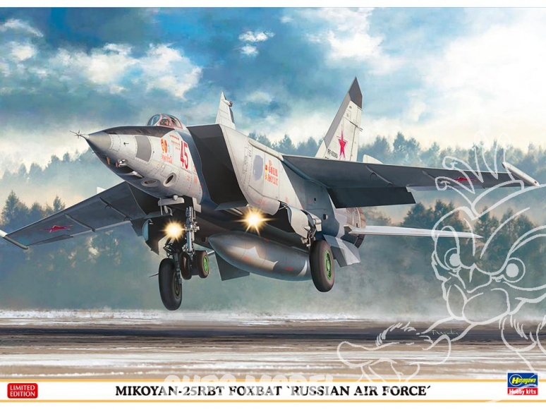 HASEGAWA maquette avion 02304 MiG-25RBT Foxbat “Armée de l'Air Russe” 1/72