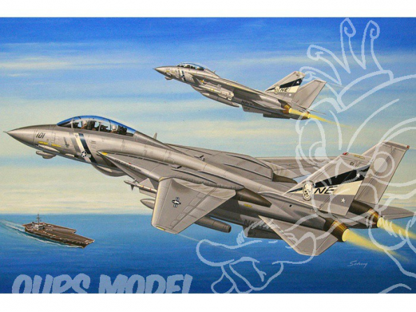 Hobby boss maquette avion 80278 F-14D Super Tomcat 1/72