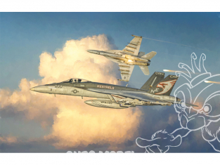 Italeri maquette avion 2791 F/A-18 E SUPER HORNET 1/48