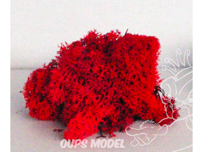 Fr Décor 128 Lichens Rouge