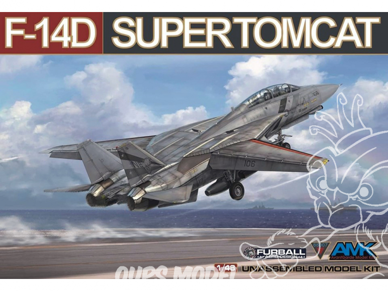 AMK maquette avion 88007 F-14D Super Tomcat 1/48