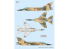 Special Hobby maquette avion 72414 Duo Pack et livre Mirage F.1 1/72