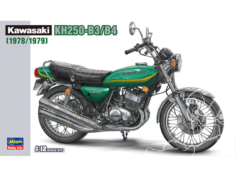 Hasegawa maquette moto 21508 Kawasaki KH250-B3/B4 1/12