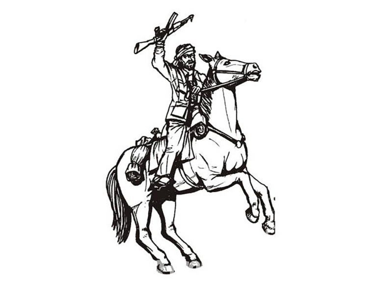 CMK figurine f35209 Cavalier Taliban et son cheval 1 figurines 1/35