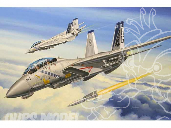 Hobby Boss maquette avion 80277 Grumman F-14B Tomcat 1/72