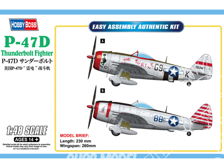 Hobby Boss maquette avion 85811 P-47D Thunderbolt Fighter 1/48