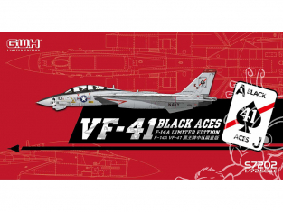 Great Wall Hobby maquette avion S7202 F-14A VF-41 Black Aces Edition limitée 1/72