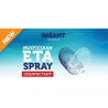 Ghiant 200076 Multiclean ETA Spray Nettoyant désinfectant en bombe 400ml