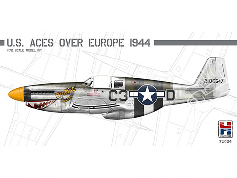 Hobby 2000 maquette avion 72024 U.S. Aces over Europe 1944 P-51 1/72