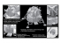 Dragon espace 11015 Diorama Lunaire Apollo 17 1/72