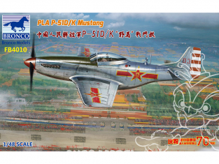 Bronco maquette avion FB4010 P-51D/K Chinois 1/48