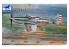 Bronco maquette avion FB4010 P-51D/K Chinois 1/48