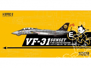 Great Wall Hobby maquette avion S7203 F-14D VF-31 Sunset Edition limitée 1/72
