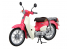 Fujimi maquette moto 141862 Honda Super Cub 110 1/12