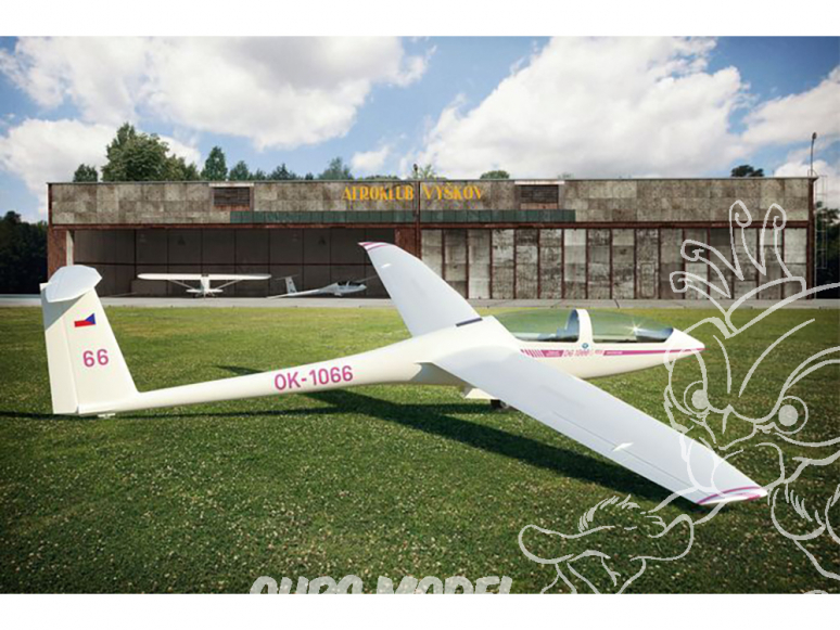 Brengun avion BRP48006 Planeur DG-1000S Glider AKVY 1/48