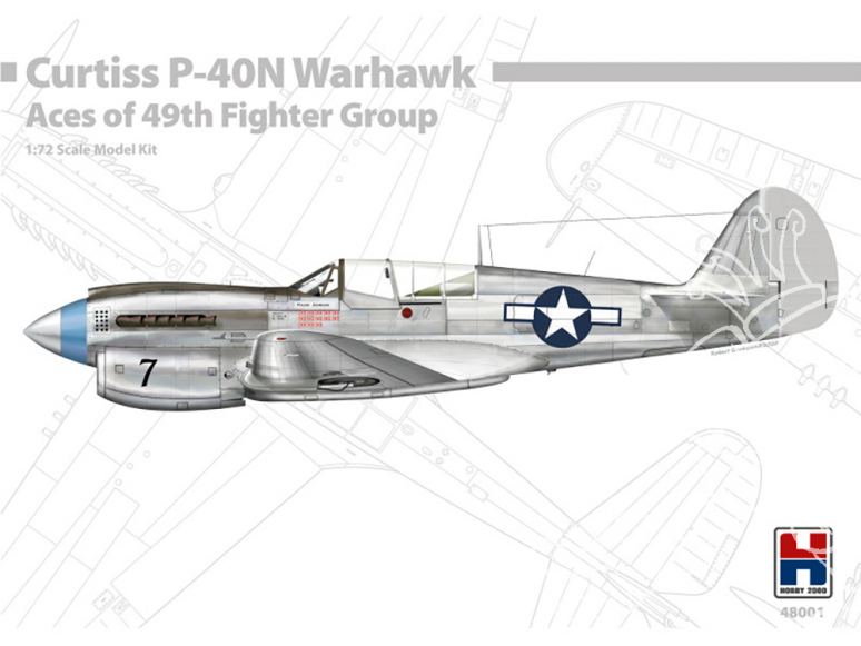 Hobby 2000 maquette avion 48001 P-40N Warhawk Aces of the 49th FG 1/48