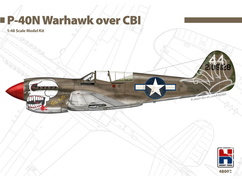 Hobby 2000 maquette avion 48002 P-40N Warhawk over CBI 1/48
