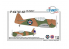 Planet Model PLT239 P-64/ NA-68 &quot;US Fighter&quot; full resine kit 1/48
