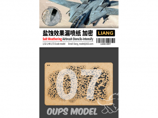 Liang Model 0007 Pochoir aérographe weathering sel Intense 1/35 - 1/48 - 1/72