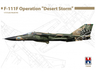 Hobby 2000 maquette avion 72038 F-111F Operation "Desert Storm" 1/72