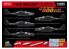 Great Wal Hobby maquette avion S4815 P-61B Noseart avec Armement et poids Edition limitée 1/48