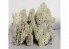 Fr Décor 125 Lichens nature 40g